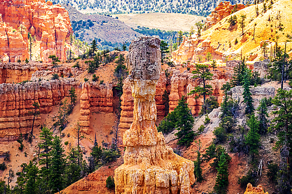 포토 JPG 해외이미지 북아메리카 자연 풍경 사람없음 야외 여름 컬러풀 미국 암석 랜드마크 명승지 카피스페이스 해외포토 계절 컬러 아메리카 공백 돌_바위 생태계 파일형식 이미지허브