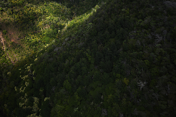 포토 JPG 해외이미지 나무 공원 바다 섬 여행 백그라운드 자연 산 안테나 사람없음 야외 초록색 물 계곡 폭포 헬리콥터 숲 하와이 드론 쥬라기 해외포토 자연요소 식물 공공시설 컬러 통신 비행기 미국 생태계 파일형식 이미지허브