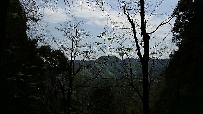 포토 JPG 해외이미지 식물 꽃 백그라운드 꽃무늬 자연 사람없음 초록색 여름 파란색 컬러풀 정원 보라색 봄 벚꽃 수국 해외포토 계절 컬러 무늬 생태계 파일형식 이미지허브