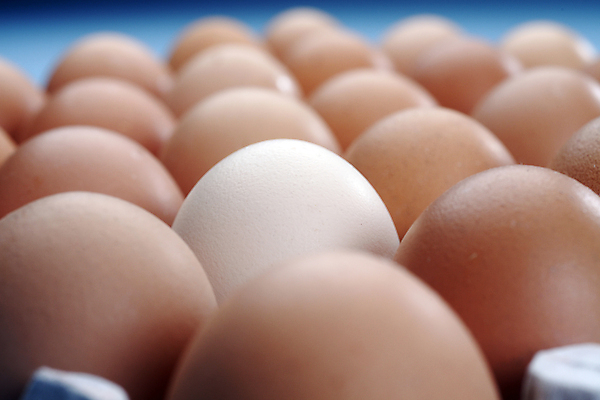 포토 JPG 해외이미지 실내 근접촬영 사람없음 아웃포커스 계란 소프트포커스 해외포토 뷰포인트 촬영기법 내부 알 파일형식 이미지허브