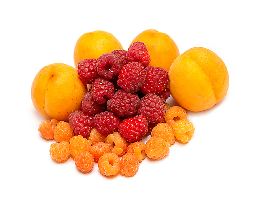 포토 JPG 해외이미지 열매 음식 농업 재료 자연 건강 사람없음 빨간색 노란색 그룹 달콤 먹기 오브젝트 상쾌 유기농 날것 산딸기 살구 숙성 채식주의자 해외포토 식물 웰빙 감정 산업 컬러 과일 모션 맛 생태계 채식 파일형식 이미지허브