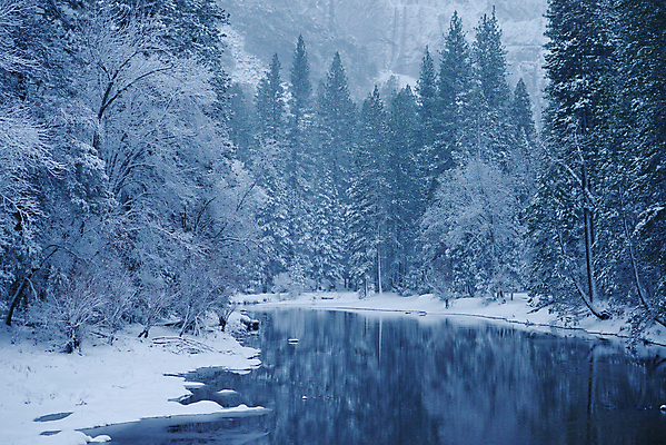 포토 JPG 해외이미지 나무 공원 겨울 자연 사람없음 야외 강 반사 추위 안개 흰색 소나무 숲 캘리포니아 폭풍 요세미티국립공원 전국 해외포토 식물 계절 공공시설 컬러 날씨 국립공원 미국 생태계 파일형식 이미지허브