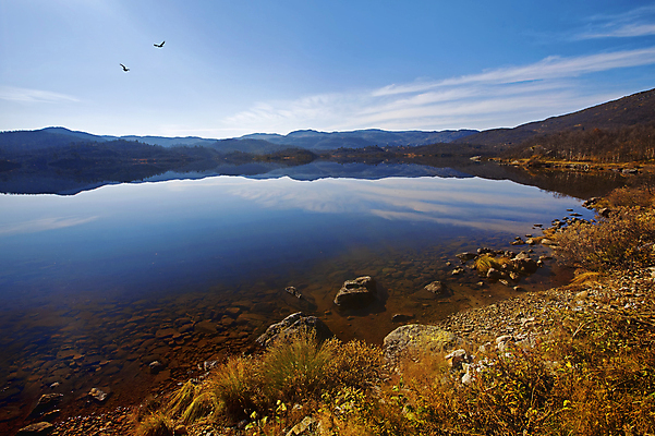 포토 JPG 해외이미지 나무 구름 유럽 호수 바다 여행 자연 하늘 휴가 산 노르웨이 풍경 사람없음 물 파란색 뷰티 반사 평화 환경 침묵 거울 가을 흰색 전원 순수 언덕 그림 내추럴 벌거벗은 생태학 스칸디나비아 해외포토 자연요소 식물 계절 교육 나라 컬러 컨셉 소리 전기에너지 생태계 파일형식 이미지허브