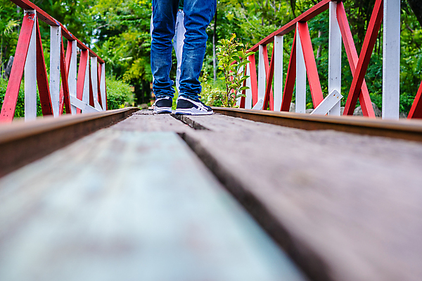 포토 JPG 해외이미지 나무 공원 남자 여행 신발 오렌지 교통시설 자연 하늘 서기 사람 풍경 사람없음 야외 초록색 컬러풀 태양 기차 가을 숲 속도 트랙 장면 선로 옛날 철강 해외포토 자연요소 식물 계절 공공시설 육상교통 컬러 교통 과일 모션 대중교통 시설 생태계 파일형식 이미지허브