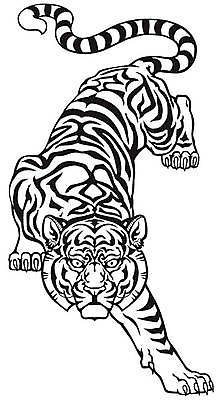 EPS 해외이미지 동물 시선 야생동물 일러스트 포유류 흑백 고양이 힘 용기 호랑이 위험 문신 집중 사파리 육식동물 사냥꾼 고립 마스코트 힘찬 해외일러스트 직업 그릇 컨셉 촬영기법 반려동물 파일형식 벡터 이미지허브