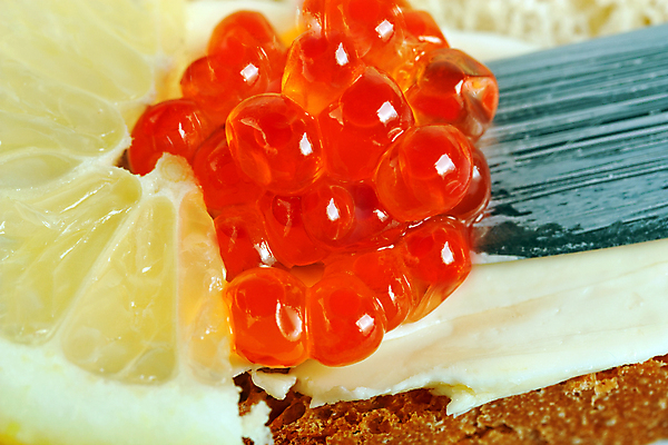 포토 JPG 해외이미지 문화 음식 백그라운드 오렌지 부분 조개 기술 샌드위치 건강 어류 요리 사람없음 빨간색 식당 계란 저녁식사 원형 고급 아침식사 먹기 레몬 해산물 준비 상쾌 슬라이스 연어 버터 덩어리 점심식사 러시아인 번 송어 짠맛 캐비아 해외포토 도형 서양인 감정 빵 컬러 컨셉 과일 식재료 모션 어패류 상점 알 식사 수중동물 맛 파일형식 이미지허브