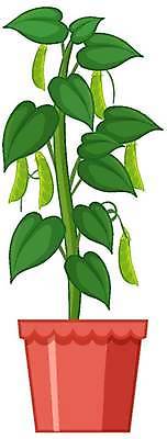 EPS 해외이미지 클립아트 식물 디자인 음식 백그라운드 채소 일러스트 재료 자연 건강 미술 풍경 야외 그래픽 초록색 농장 환경 정원 신선 만화 먹기 그림 유기농 원예 완두콩 클립 장면 내추럴 밭일 식용 심기 해외일러스트 웰빙 컬러 농업 모션 문화예술 콩 취미 생태계 파일형식 벡터 이미지허브