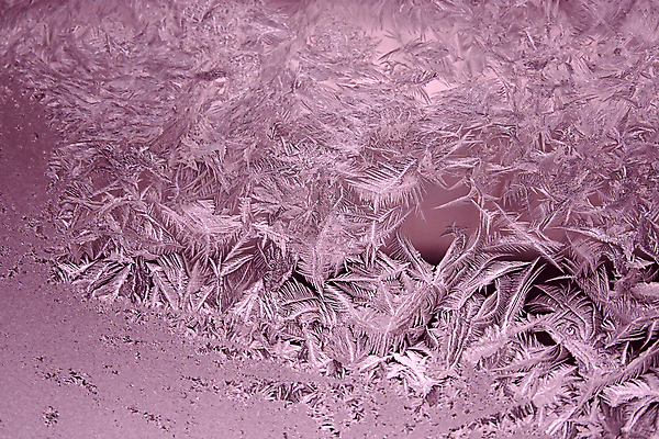 포토 JPG 해외이미지 백그라운드 겨울 패턴 유리 추상 사람없음 얼음 추위 그림 해외포토 자연요소 계절 무늬 재질 파일형식 이미지허브