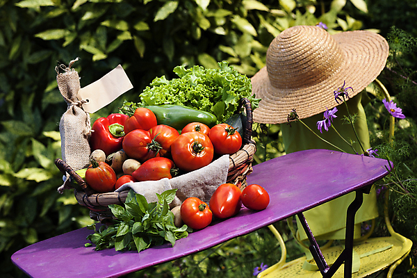 포토 JPG 해외이미지 모자 계절 농업 토마토 채소 재료 탁자 감자 사람없음 빨간색 여름 바구니 정원 모임 변화 시장 선택 상추 다발 유기농 원예 밀짚모자 날것 후추 모음 비타민 바질 내추럴 섞기 주키니호박 채식주의자 비건 해외포토 모자_잡화 웰빙 잡화 산업 컬러 가구 컨셉 취미 향신료 채식 영양소 파일형식 이미지허브