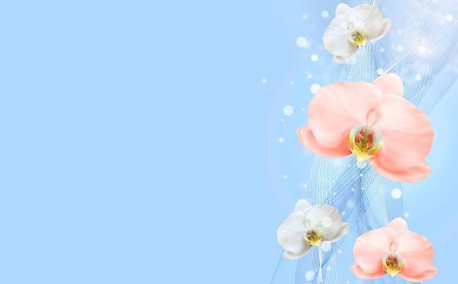 EPS 해외이미지 식물 템플릿 디자인 꽃잎 꽃 결혼 백그라운드 꽃무늬 일러스트 자연 장식 여름 파란색 정원 스파 봄 방 낭만 벚꽃 나뭇가지 신선 개화 난초 우아함 유기농 호접란 내추럴 고립 생태학 이국적 스타일 해외일러스트 나무 웰빙 계절 교육 컬러 컨셉 무늬 이벤트 생태계 파일형식 벡터 이미지허브