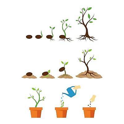 EPS 해외이미지 나무 식물 배너 줄기 컨셉 잎 농업 일러스트 자연 콩 씨앗 초록색 세트 농장 새싹 환경 정원 흙 봄 인포그래픽 물뿌리개 무대 성장 나뭇가지 진화 냄비 에코 유기농 원예 순환 애니메이션 내추럴 진행 개발 모종 묘목 바이오 방법 생태학 타임라인 해외일러스트 웰빙 계절 교육 산업 컬러 모션 곡류 취미 솥 소방 생태계 파일형식 벡터 이미지허브