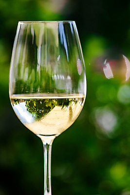 포토 JPG 해외이미지 주간 와인잔 한잔 사람없음 야외 아웃포커스 와인 화이트와인 해외포토 자연요소 1 술잔 주류 촬영기법 파일형식 이미지허브