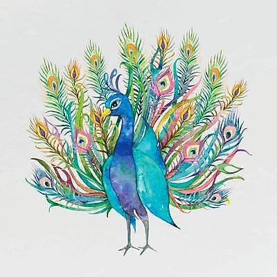 EPS 해외이미지 한마리 일러스트 사람없음 공작 해외일러스트 1 조류 파일형식 벡터 이미지허브