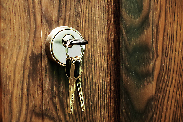 포토 JPG 해외이미지 컨셉 비즈니스 열쇠 주택 안전 사람없음 세트 문 금속 흰색 반지 잡기 오픈 그룹 재산 보호 은색 다발 수집 철 입장 심볼 오브젝트 잠금 보안 옛날 철강 해외포토 컬러 장신구 모션 재질 건물 금융 파일형식 이미지허브