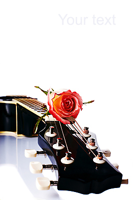 포토 JPG 해외이미지 식물 전통 꽃잎 꽃 감정 줄 악기 음악 꽃다발 컨셉 잎 노래 자연 놀이 휴가 선물 사랑 미술 사람 여러명 취미 사람없음 장식 뷰티 장미 유행 검은색 소리 놀람 장비 기타 축하 신선 클래식 심볼 묘사 오브젝트 롤 오디오 멜로디 인기 해외포토 컬러 다수 현악기 문화예술 표정 전자제품 생태계 파일형식 이미지허브