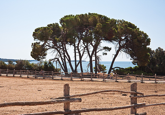 포토 JPG 해외이미지 동물 공원 섬 여행 염소 사람없음 울타리 펜 덮개 큼 사파리 황소 신성 크로아티아 전국 해외포토 공공시설 유럽 포유류 담장 필기구 뚜껑 소 크기 파일형식 이미지허브