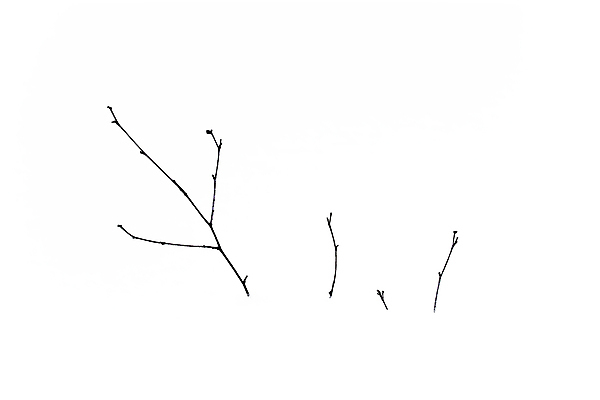 포토 JPG 해외이미지 식물 계절 공원 꽃 백그라운드 잎 겨울 밭 자연 추상 건조 풍경 초원 사람없음 야외 파란색 빛 갈색 노란색 정원 얼음 들꽃 추위 가을 나뭇가지 시원함 12월 크리스탈 허브 유기농 질감 서리 부드러움 1월 2월 블러 파스텔톤 미니멀리스트 국경 해외포토 자연요소 나무 웰빙 공공시설 컬러 무늬 농업 감각 날짜 광석 생태계 파일형식 이미지허브