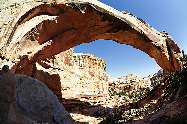 포토 JPG 해외이미지 식물 공원 여행 오렌지 자연 산 풍경 사람없음 야외 환경 미국 새벽 펼침 바위 황무지 아치 장면 지역 암초 서식지 국회 내추럴 감탄 생태학 전국 해외포토 자연요소 공공시설 교육 북아메리카 과일 모션 돌_바위 생태계 파일형식 이미지허브