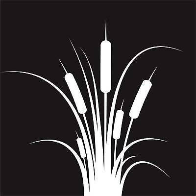 EPS 해외이미지 식물 디자인 실루엣 잎 패턴 일러스트 자연 지팡이 갈대 물 여름 강 환경 검은색 성장 습지 심볼 내추럴 고립 해외일러스트 자연요소 계절 컬러 무늬 촬영기법 생태계 파일형식 벡터 이미지허브