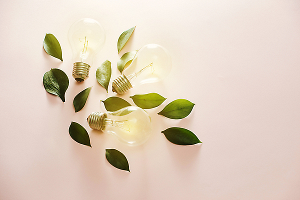 포토 JPG 해외이미지 꽃 잎 전구 아이디어 실내 사람없음 오브젝트 분홍색배경 해외포토 식물 분홍색 백그라운드 컨셉 내부 파일형식 이미지허브