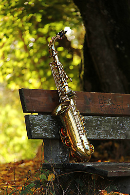 포토 JPG 해외이미지 나무 계절 음악 백그라운드 잎 벤치 자연 놀이 미술 사람없음 야외 목재 금속 소리 낭만 수확 가을 기구 악단 영혼 황금 숲 큼 색소폰 그네 질감 복고 예술가 재즈 오케스트라 그런지 놋쇠 멜로디 뮤지컬 블루스 옛날 중고 해외포토 식물 컨셉 농업 의자 재료 재질 문화예술 크기 목관악기 생태계 파일형식 이미지허브