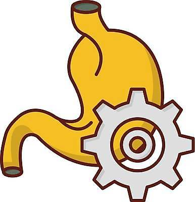 EPS 해외이미지 일러스트 사람없음 톱니바퀴 위_내장기관 해외일러스트 장기_의학 파일형식 벡터 이미지허브