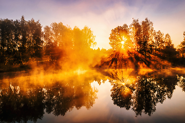 포토 JPG 해외이미지 나무 자연 하늘 사람없음 야외 강 햇빛 태양 일몰 해외포토 자연요소 식물 노을 생태계 파일형식 이미지허브