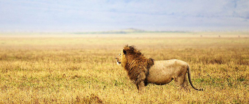 포토 JPG 해외이미지 여행 사람없음 여행객 탄자니아 해외포토 아프리카 사람 파일형식 이미지허브