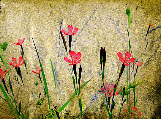 포토 JPG 해외이미지 디자인 종이 과학 패턴 밭 텍스트 자연 추상 프레임 사람없음 물 노란색 쪽지 손상 수확 골동품 점 얼룩 거친 균열 습지 강의 허브 질감 문서 복고 먼지 페이지 찢어짐 구김 구식 그런지 보유 세피아 양피지 옛날 원고 조작 노화 해외포토 자연요소 식물 컬러 컨셉 무늬 농업 모션 촬영기법 생태계 파일형식 이미지허브