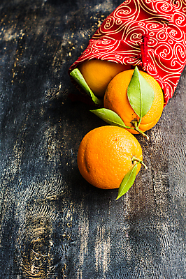 포토 JPG 해외이미지 귤 실내 사람없음 주머니 나무배경 해외포토 백그라운드 과일 내부 파일형식 이미지허브