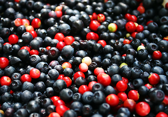 포토 JPG 해외이미지 라이프스타일 열매 음료 음식 백그라운드 채소 과일 재료 디저트 건강 사람없음 빨간색 파란색 검은색 흰색 신선 아침식사 먹기 유기농 블루베리 날것 산딸기 블랙베리 점심식사 건포도 단절 숙성 크랜베리 해외포토 식물 웰빙 컬러 모션 포도 생활 식사 건과일 파일형식 이미지허브