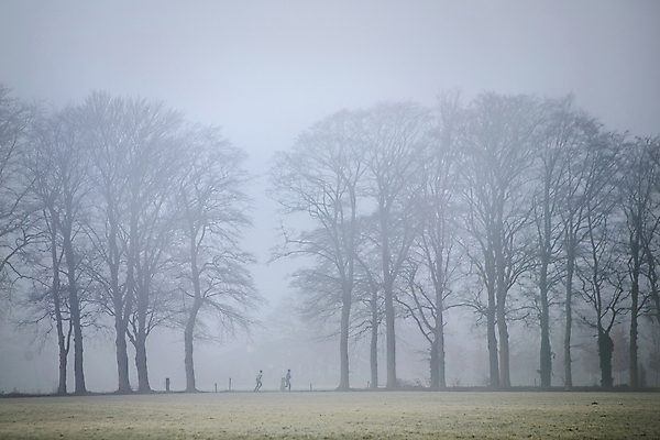 포토 JPG 해외이미지 나무 라이프스타일 공원 남자 실루엣 스포츠 포즈 백그라운드 신체 일러스트 모션 자연 아침 건강 사람 사람없음 야외 그래픽 달리기 조깅 운동 일출 검은색 자유 안개 흰색 시골 도시 숲 연습 달리기선수 해외포토 주간 식물 공공시설 컬러 컨셉 날씨 촬영기법 생활 노을 생태계 육상선수 파일형식 이미지허브