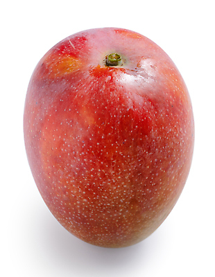 포토 JPG 해외이미지 스튜디오촬영 근접촬영 사람없음 빨간색 망고 해외포토 뷰포인트 컬러 실내 열대과일 파일형식 이미지허브