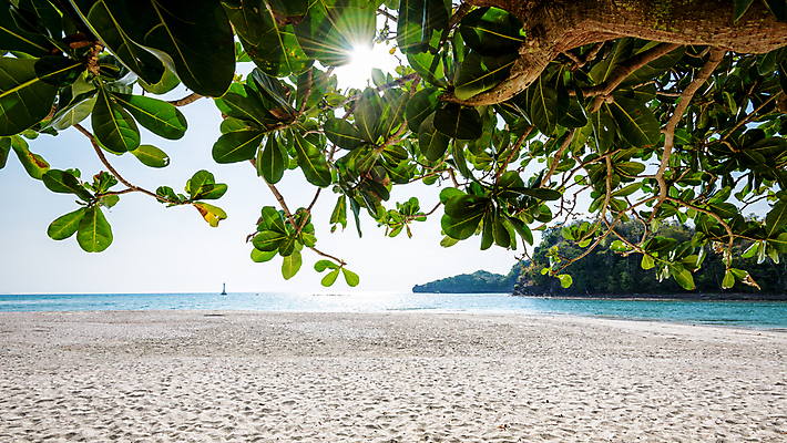포토 JPG 해외이미지 나무 모래 파도 바다 섬 여행 백그라운드 잎 태국 자연 하늘 휴가 국립공원 사람없음 야외 초록색 파란색 햇빛 태양 뷰티 맑음 만 저녁 아래 장면 내추럴 안다만 수평선 해외포토 자연요소 식물 공원 아시아 컬러 날씨 야간 방향 생태계 위치 파일형식 이미지허브