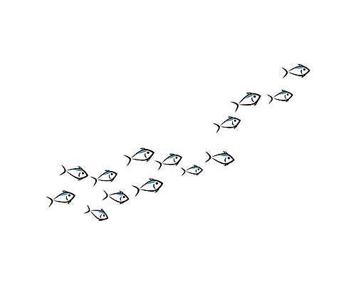 EPS 해외이미지 동물 디자인 실루엣 바다 여행 백그라운드 일러스트 학교 자연 낚시 추상 휴가 건강 어류 미술 장식 물 파란색 세트 검은색 수중 수영 흰색 원형 그룹 작음 만화 수집 심볼 다이빙 질감 내추럴 고립 깊이 많음 해외일러스트 자연요소 도형 교육 컬러 컨셉 무늬 레저 문화예술 촬영기법 수중동물 수상스포츠 크기 생태계 수중스포츠 파일형식 벡터 이미지허브