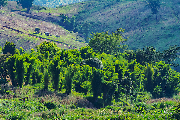 포토 JPG 해외이미지 나무 식물 구름 유럽 호수 여행 백그라운드 밭 농업 자연 하늘 산 파노라마 한명 풍경 초원 야외 초록색 물 여름 파란색 강 뷰티 농장 환경 계곡 시골 숲 언덕 장면 내추럴 해외포토 자연요소 1 계절 나라 산업 컬러 촬영기법 사람 생태계 파일형식 이미지허브