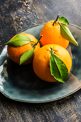 포토 JPG 해외이미지 접시 귤 실내 사람없음 세개 나무배경 해외포토 식기 백그라운드 과일 3 내부 파일형식 이미지허브