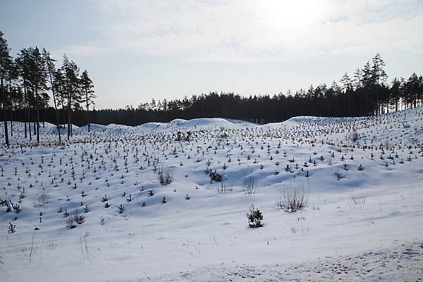포토 JPG 해외이미지 계절 겨울 자연 날씨 풍경 사람없음 야외 파란색 햇빛 냉동 얼음 침묵 추위 흰색 시원함 서리 장면 북쪽 1월 해외포토 자연요소 컬러 태양 소리 날짜 방향 생태계 파일형식 이미지허브