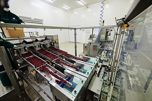 포토 JPG 해외이미지 공장 사람없음 냉동 기계 제조 산딸기 식품공장 냉동식품 해외포토 음식 과일 공업 파일형식 이미지허브