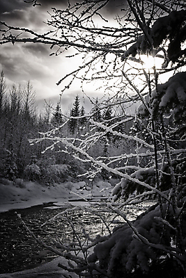 포토 JPG 해외이미지 나무 캐나다 겨울 흑백 풍경 사람없음 야외 물 강 검은색 일몰 추위 흰색 나뭇가지 개울 고독 멀리 겨울풍경 해외포토 자연요소 식물 계절 감정 컬러 북아메리카 촬영기법 노을 파일형식 이미지허브