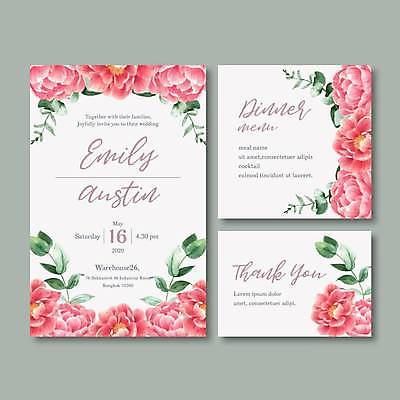 EPS 해외이미지 손글씨 꽃 분홍색 잎 일러스트 수채화 사람없음 흰색 분위기 청첩장 손그림 감성 해외일러스트 식물 컬러 컨셉 카드_감사 파일형식 벡터 이미지허브