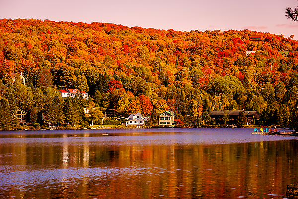 포토 JPG 해외이미지 나무 호수 캐나다 사람없음 물 햇빛 반사 숲 해외포토 자연요소 식물 북아메리카 태양 파일형식 이미지허브