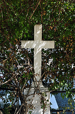 포토 JPG 해외이미지 식물 종교 조각 십자가 잎 날씨 추상 그림자 사람없음 빛 햇빛 수확 골동품 나뭇가지 죽음 무덤 엉킴 심볼 묘사 대리석 포도나무 기념물 고딕 신앙심 썩음 옛날 해외포토 나무 무늬 농업 재료 태양 과일나무 파일형식 이미지허브