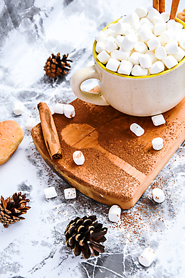 포토 JPG 해외이미지 사람없음 컵 머그컵 향신료 담기 솔방울 마시멜로우 나무도마 시나몬 해외포토 식기 모션 디저트 도마 목재 향미료 파일형식 이미지허브