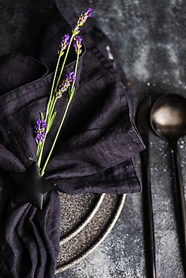 포토 JPG 해외이미지 꽃 실내 사람없음 라벤더 해외포토 식물 내부 허브 파일형식 이미지허브