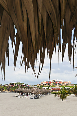 포토 JPG 해외이미지 모래 바다 섬 여행 자연 휴가 손바닥 사람없음 여름 태양 만 보트 개울 시골집 에콰도르 이국적 해외포토 자연요소 손 계절 배_교통 주택 강 남아메리카 생태계 파일형식 이미지허브