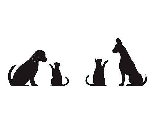 EPS 해외이미지 모양 동물 행복 실루엣 선 백그라운드 패턴 일러스트 회사 비즈니스 놀이 주택 프레임 병원 사랑 미술 그래픽 친구 반려동물 머리 귀여움 고양이 게임 긴급 신용카드 그리기 개 강아지 주식 작음 먹이 심볼 싱글 그림 클립 신분 사냥개 귀 꼭두각시 엘리먼트 해외일러스트 감정 컨셉 무늬 포유류 의학 관계 모션 문화예술 촬영기법 건물 신체부위 금융 크기 파일형식 벡터 이미지허브