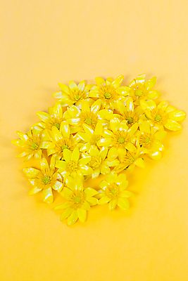 포토 JPG 해외이미지 식물 계절 꽃잎 꽃 백그라운드 꽃무늬 자연 벽지 사람없음 여름 뷰티 노란색 맑음 봄 활발 벚꽃 신선 허브 데이지 노란배경 많음 해외포토 컬러 컨셉 무늬 날씨 생태계 파일형식 이미지허브