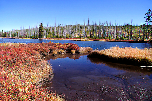 포토 JPG 해외이미지 나무 계절 공원 호수 자연 하늘 풍경 사람없음 야외 목재 초록색 물 여름 반사 평화 미국 가을 소나무 숲 운하 장면 내추럴 와이오밍 전국 해외포토 자연요소 식물 공공시설 컬러 컨셉 북아메리카 재료 생태계 파일형식 이미지허브