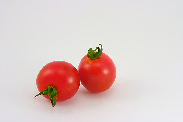 포토 JPG 해외이미지 백그라운드 토마토 건강 사람없음 빨간색 초록색 물 흰색 최고 체리 작음 다발 맛있는 해외포토 자연요소 컬러 채소 과일 크기 파일형식 이미지허브